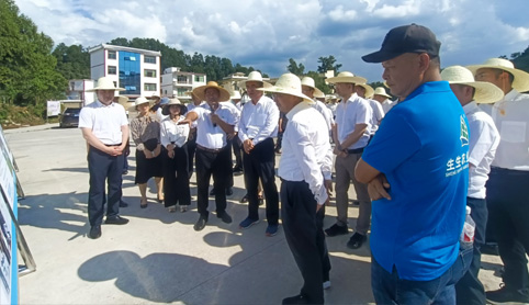 廣東貴州兩省調(diào)研組走進(jìn)生生臺江縣稻漁產(chǎn)業(yè)化發(fā)展示范園