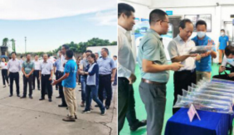 關于省政協調研推進我省種業高質量發展工作 關于省政協調研推進我省種業高質量發展工作