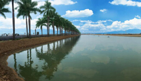 喜訊!宏益養殖場獲國家級水產健康養殖示范基地榮譽 喜訊!宏益養殖場獲國家級水產健康養殖示范基地榮譽