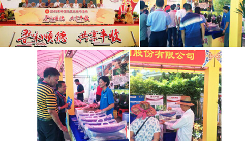 尋味順德  共享豐收