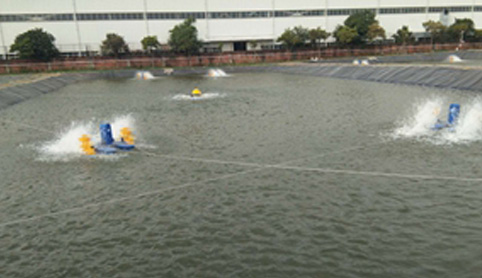 “高效循環水養殖設備與智能漁業系統”正式啟動