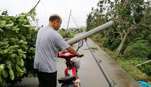 強風中的勇者 強風中的勇者