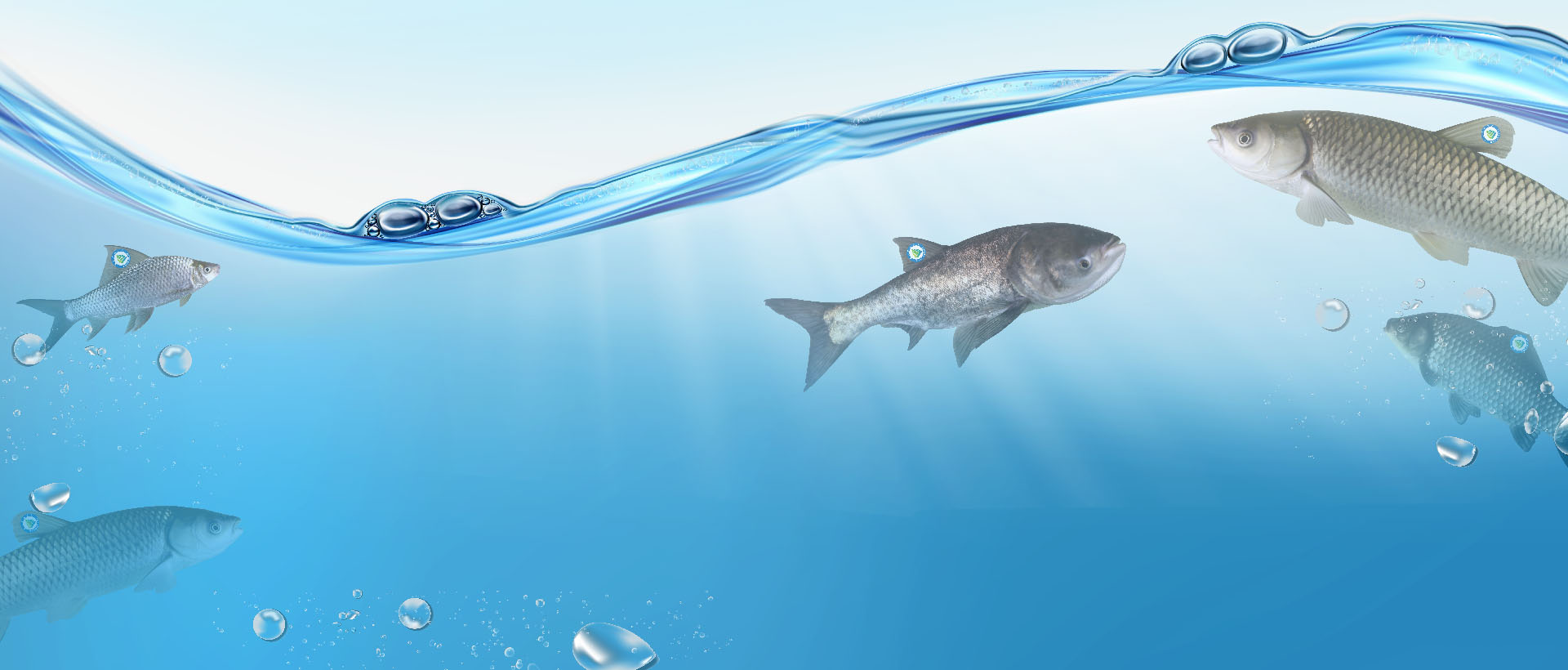 生生產(chǎn)業(yè)