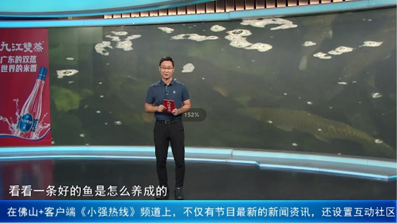 《小強(qiáng)熱線》探訪順德生生農(nóng)業(yè)集團(tuán)，揭秘一條好的魚是怎么養(yǎng)成的