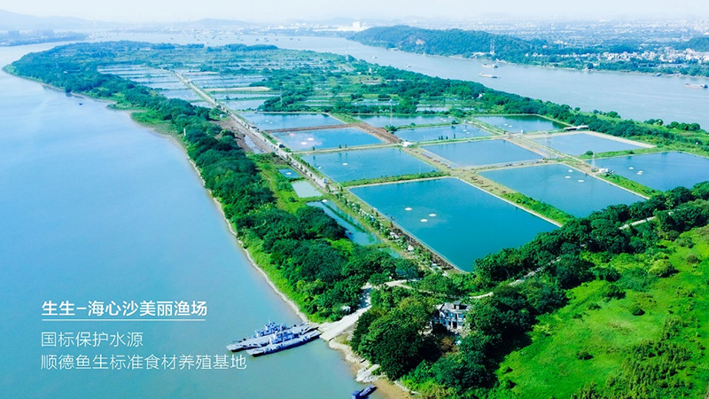 喜訊！生生獲評“國家級水產健康養殖和生態養殖示范區”