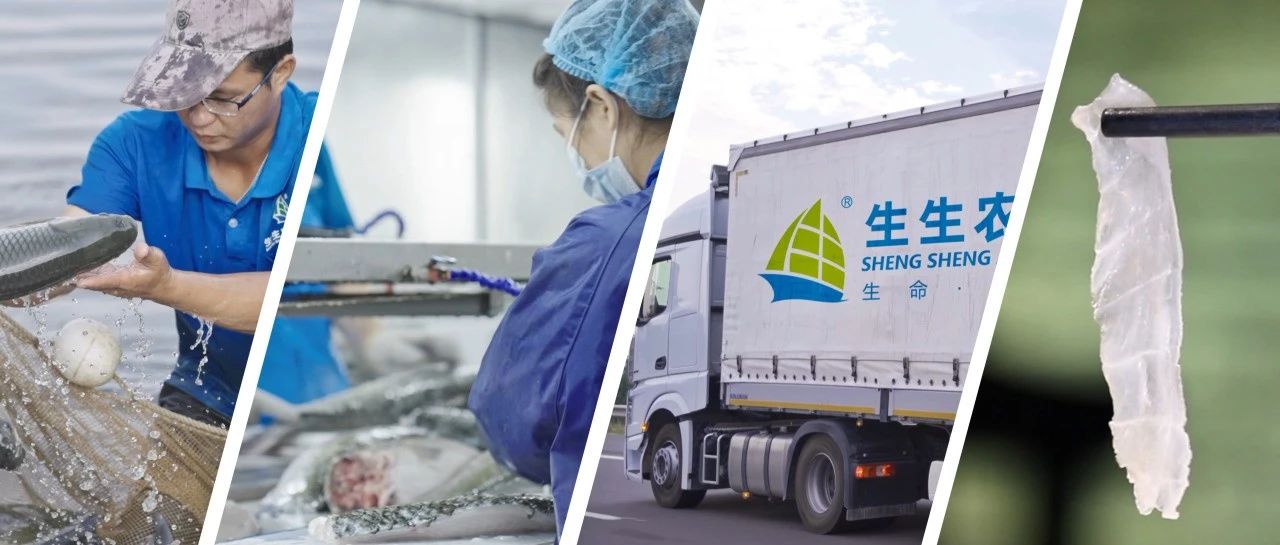 守護餐桌安全，解鎖生生農業集團的食品安全密碼